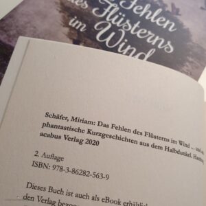 Das Fehlen des Flüsterns im Wind - 2. Auflage